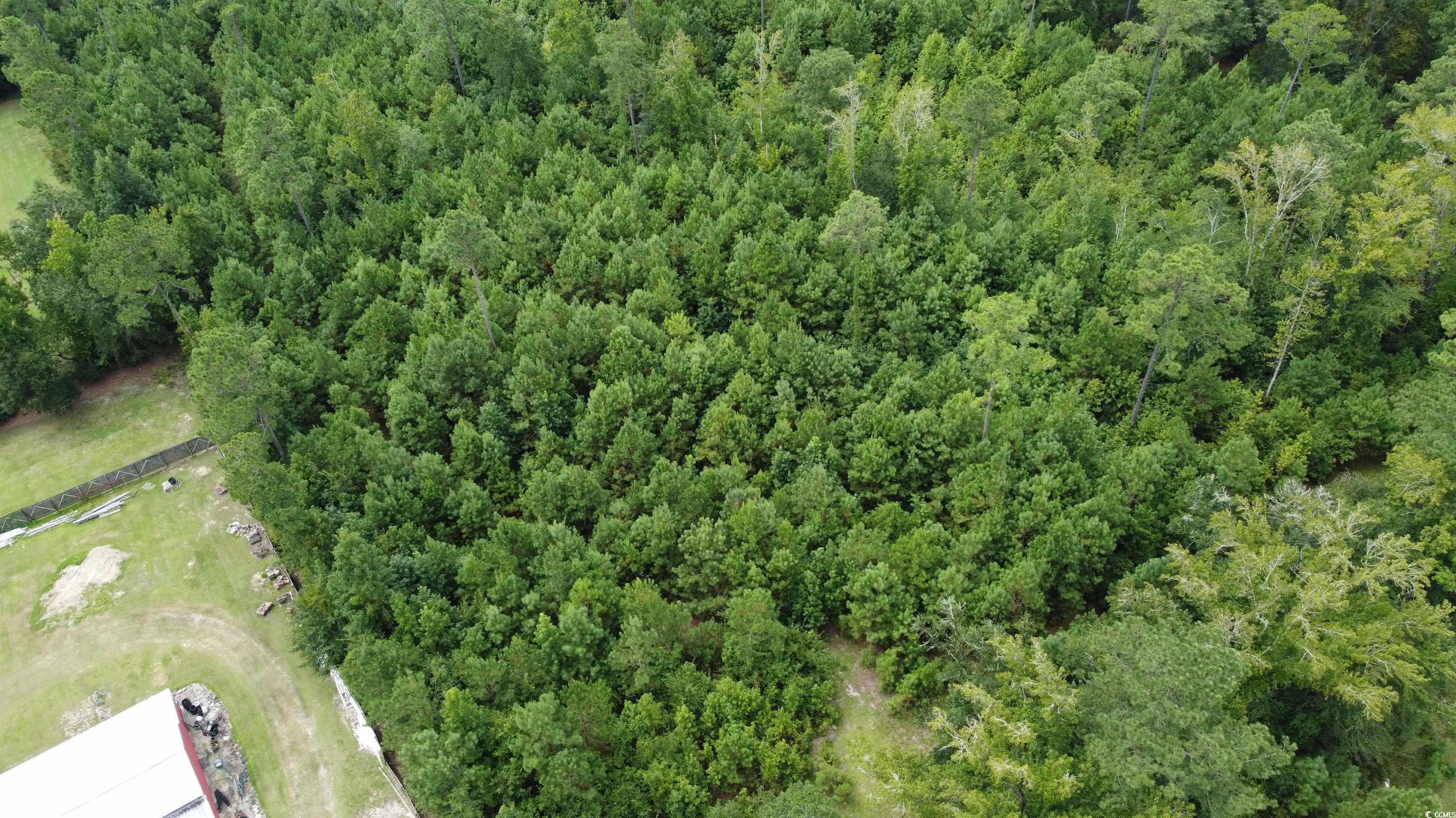 Tbd Lonzy Lane Conway, SC 29526 - Photo 2 of 10