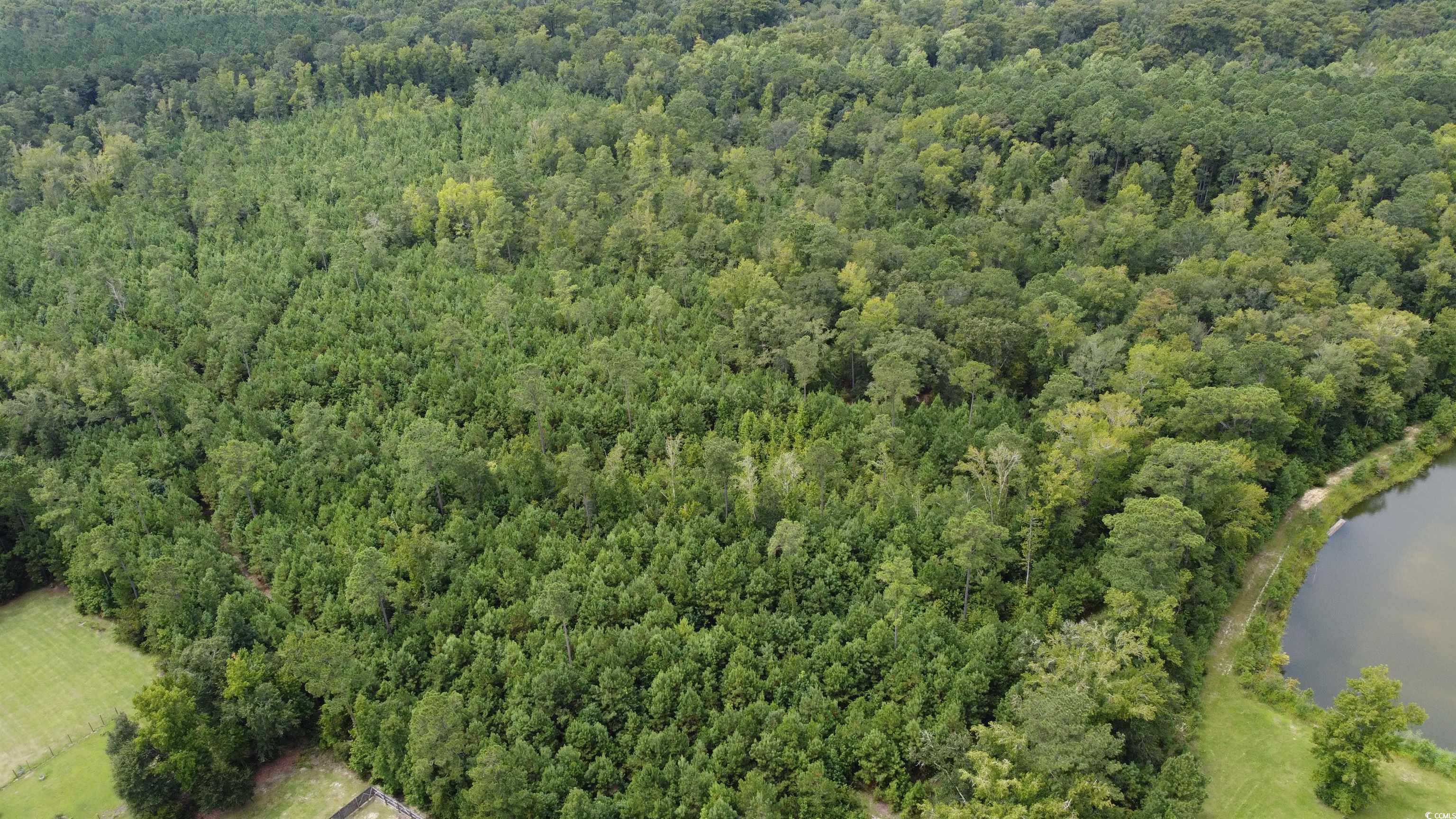 Tbd Lonzy Lane Conway, SC 29526 - Photo 4 of 10