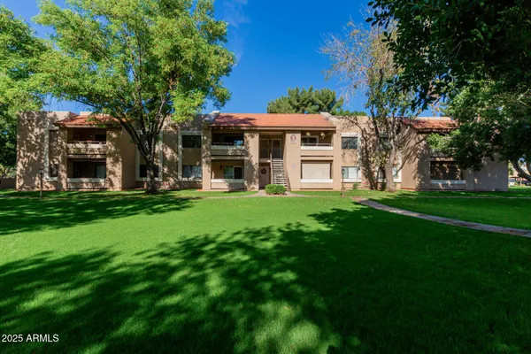 a large tree in front of a house with a big yard and large trees