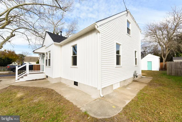 a view of a park with large trees