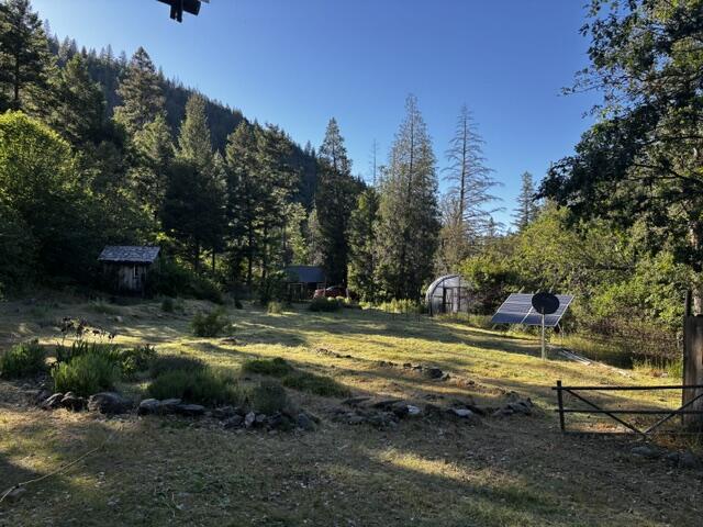 8980 Reading Creek Road Douglas City, CA 96024 - Photo 20 of 28