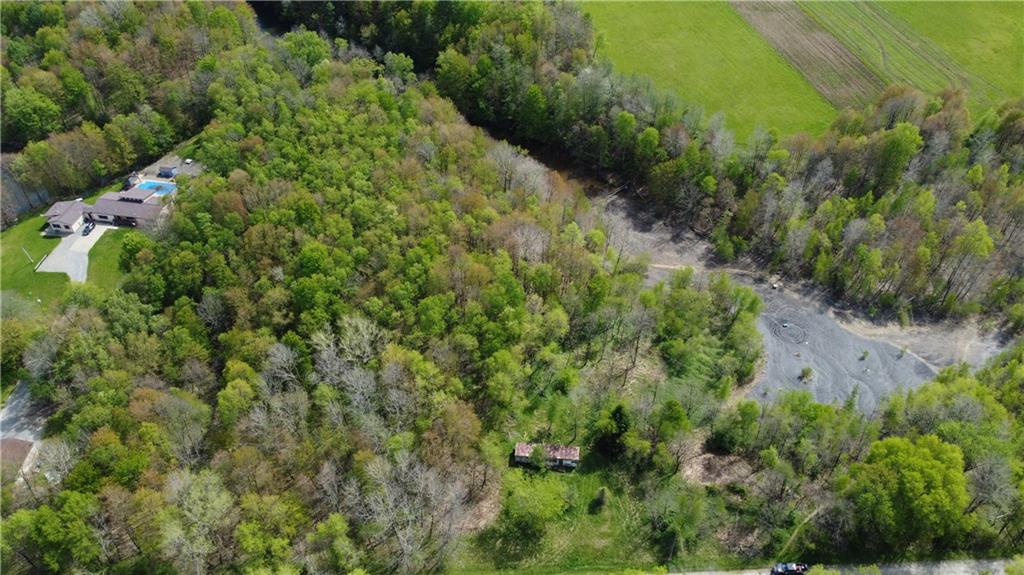 258 West Allen Road Polk, PA 16342 - Photo 3 of 19 a view of a garden with a plant