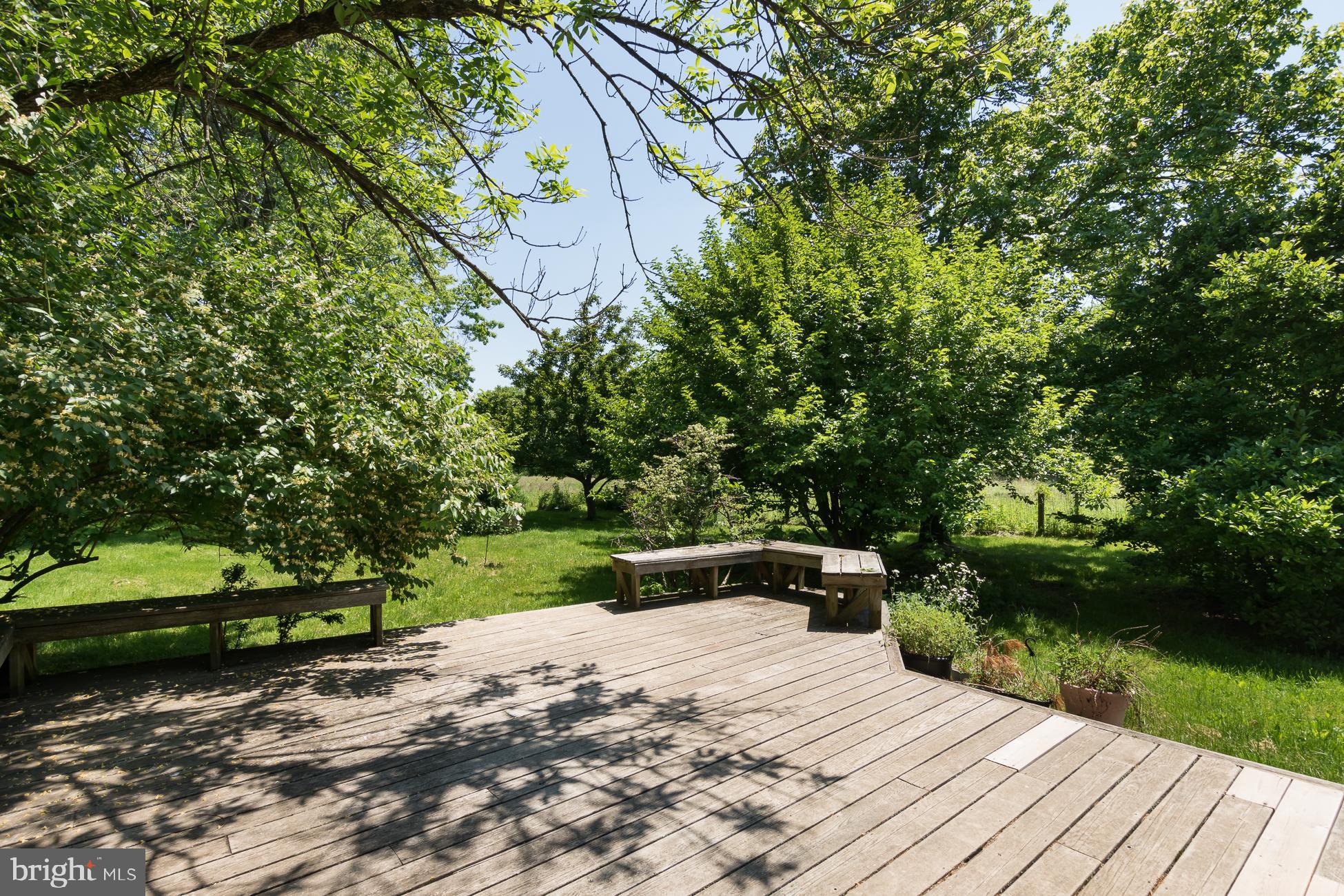 146 Carter Road Princeton, NJ 08540 - Photo 27 of 39 a view of outdoor space and yard