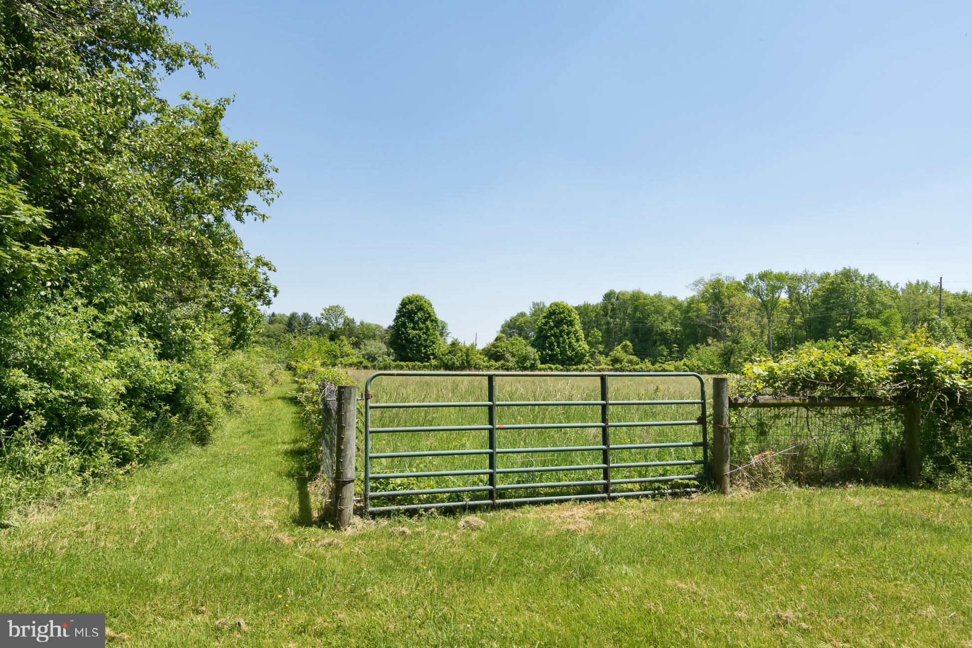 146 Carter Road Princeton, NJ 08540 - Photo 31 of 39 a view of a green field with trees in the background