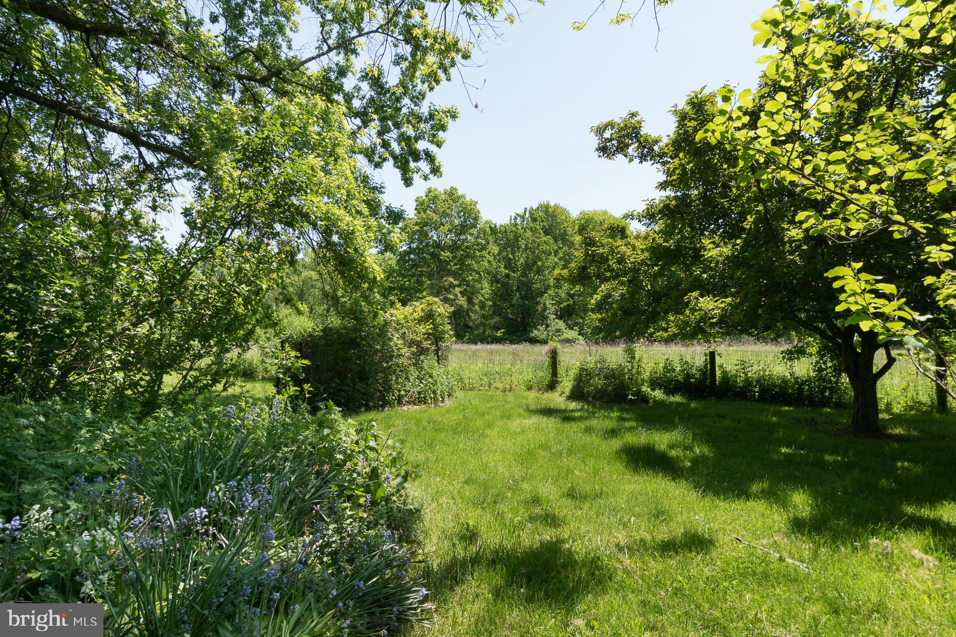 146 Carter Road Princeton, NJ 08540 - Photo 33 of 39 a view of an outdoor space and a yard