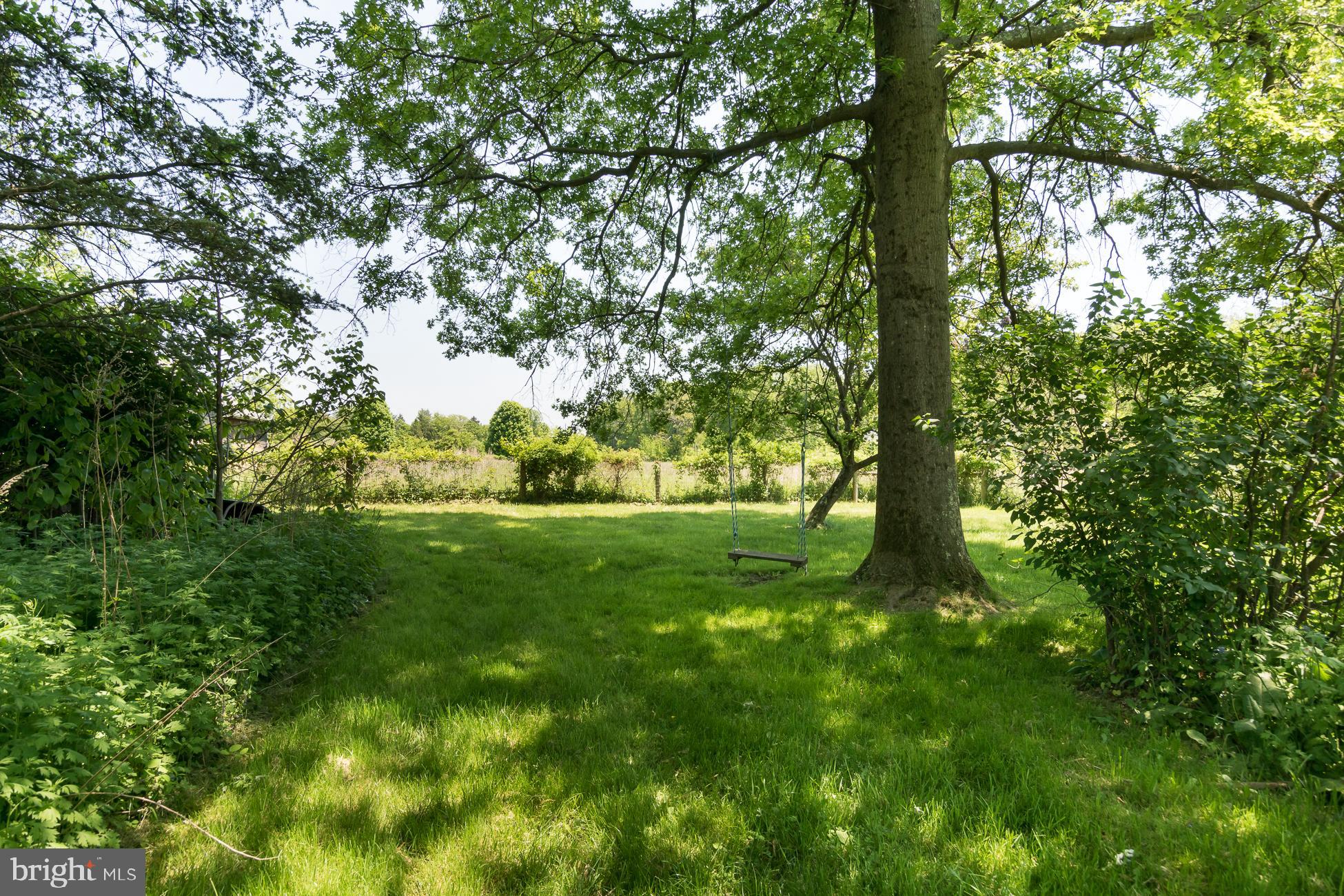146 Carter Road Princeton, NJ 08540 - Photo 34 of 39 a view of a yard with a tree