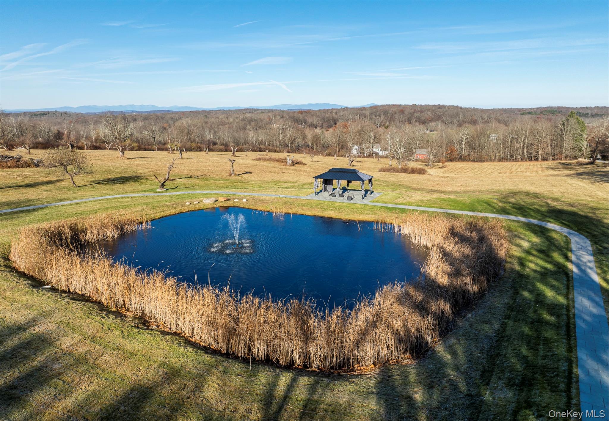 97 Valley Farm Road Millbrook, NY 12545 - Photo 5 of 50 Pond view with mountains in the distance