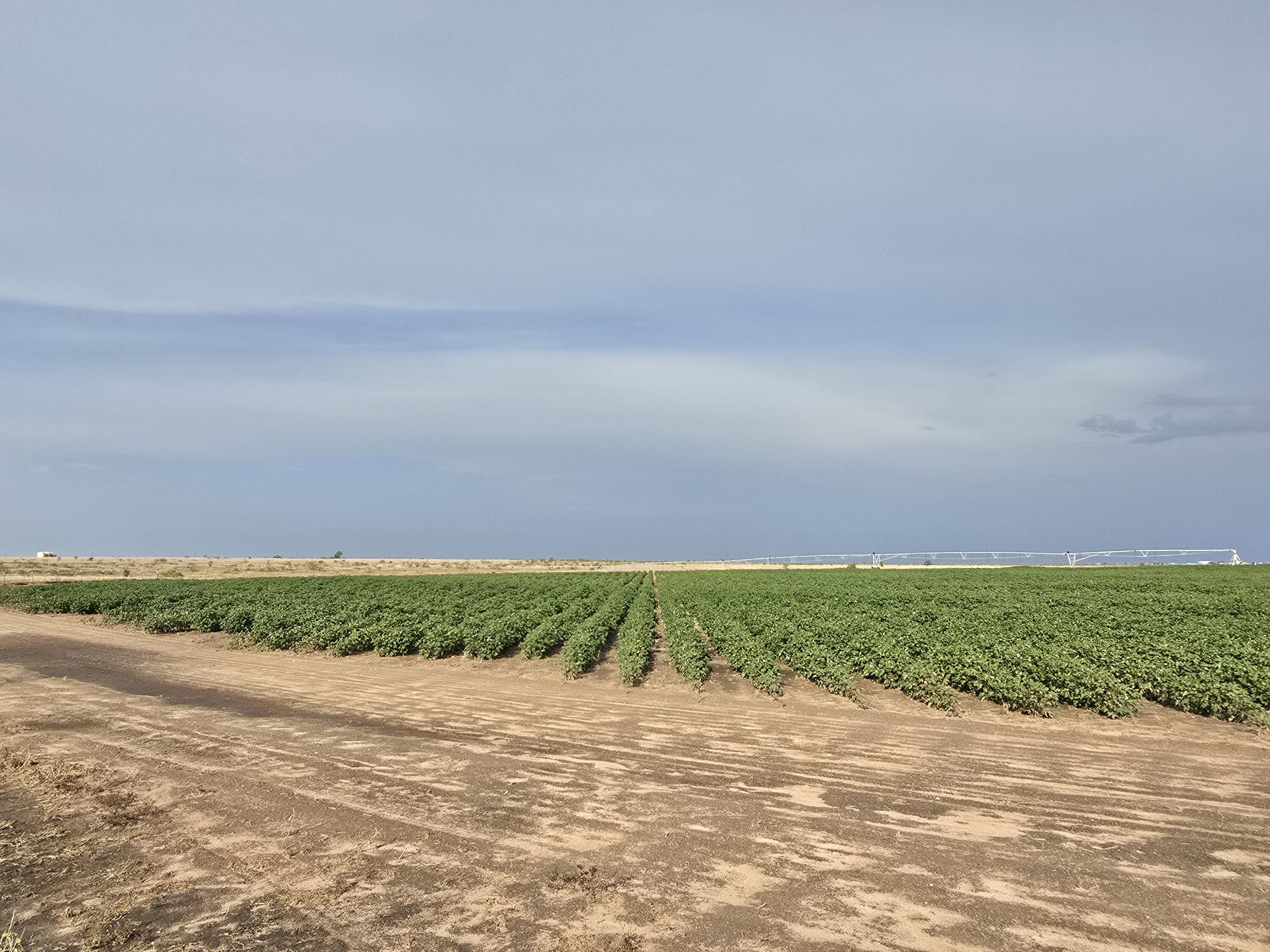 218 County Road Seminole, TX 79360 - Photo 7 of 8 20260916_094023