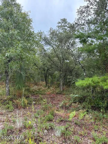 $45,000 | 0 Northwest White Road, Altha, FL 32421