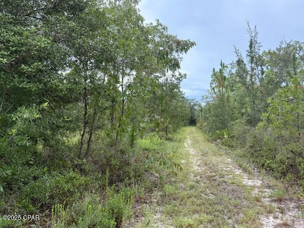 $45,000 | 0 Northwest White Road, Altha, FL 32421