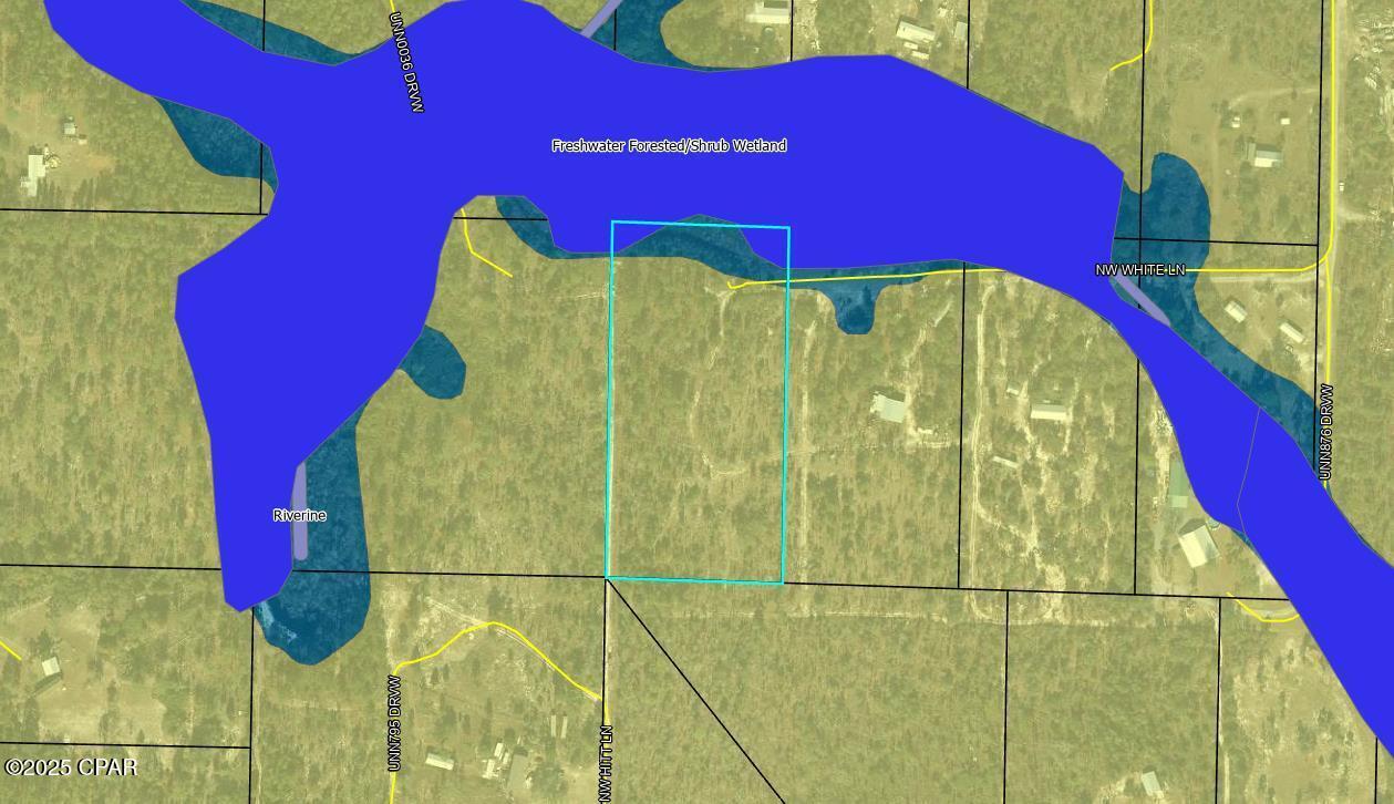 0 Northwest White Road Altha, FL 32421 - Photo 4 of 5