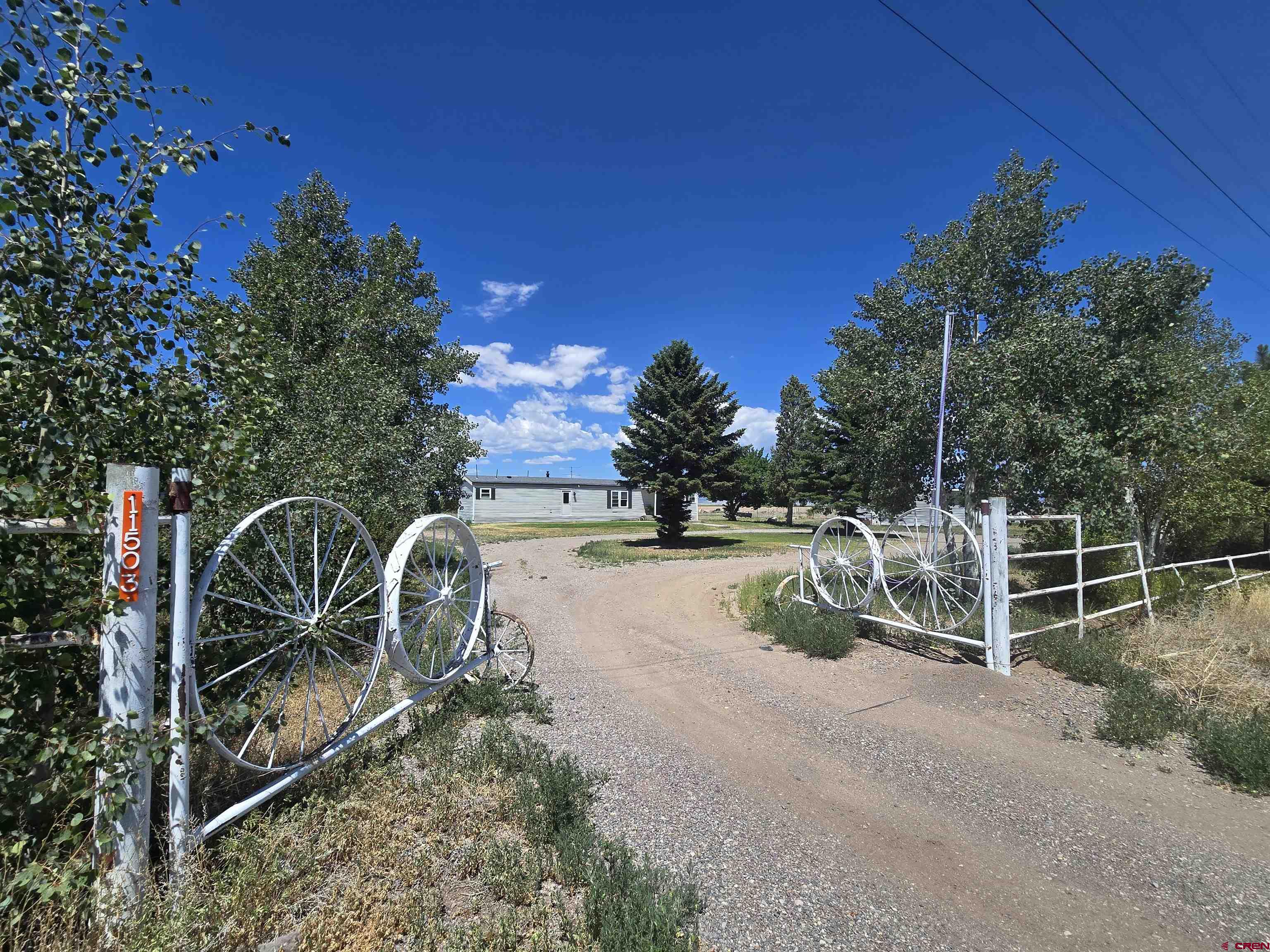 a view of a yard with wooden fence