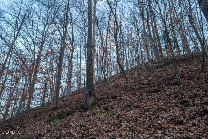 0 Dunn Hollow Road Sevierville, TN 37862 - Photo 3 of 8