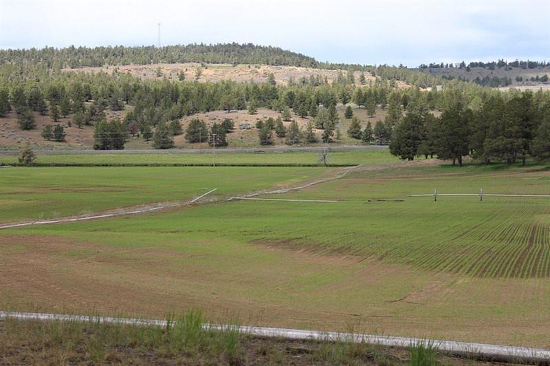 8200 Harpold Road Klamath Falls, OR 97603 - Photo 23 of 28 Additional Photo