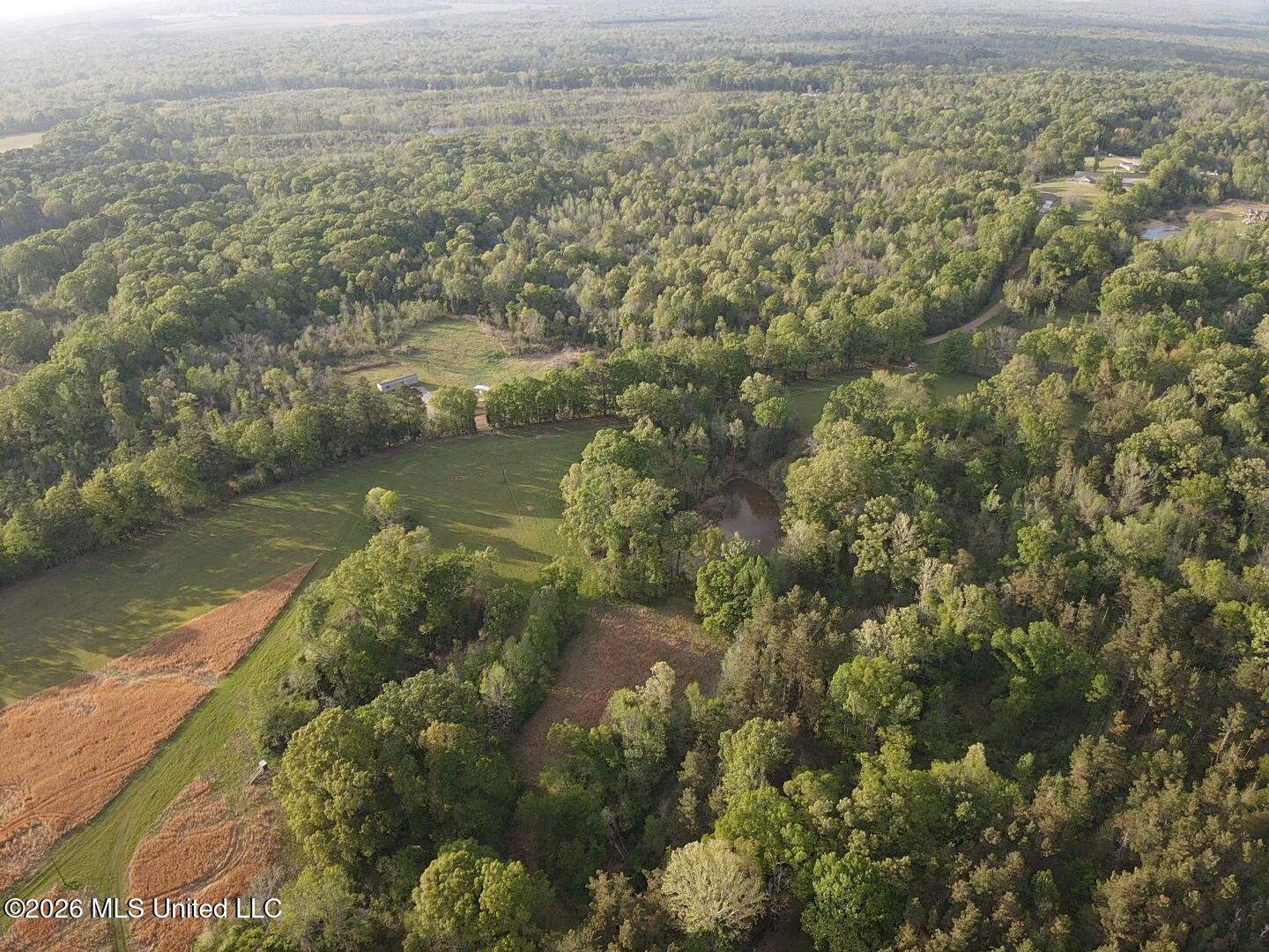 0 Newman Road Edwards, MS 39066 - Photo 5 of 18 2026-03-30-18-09-48-326