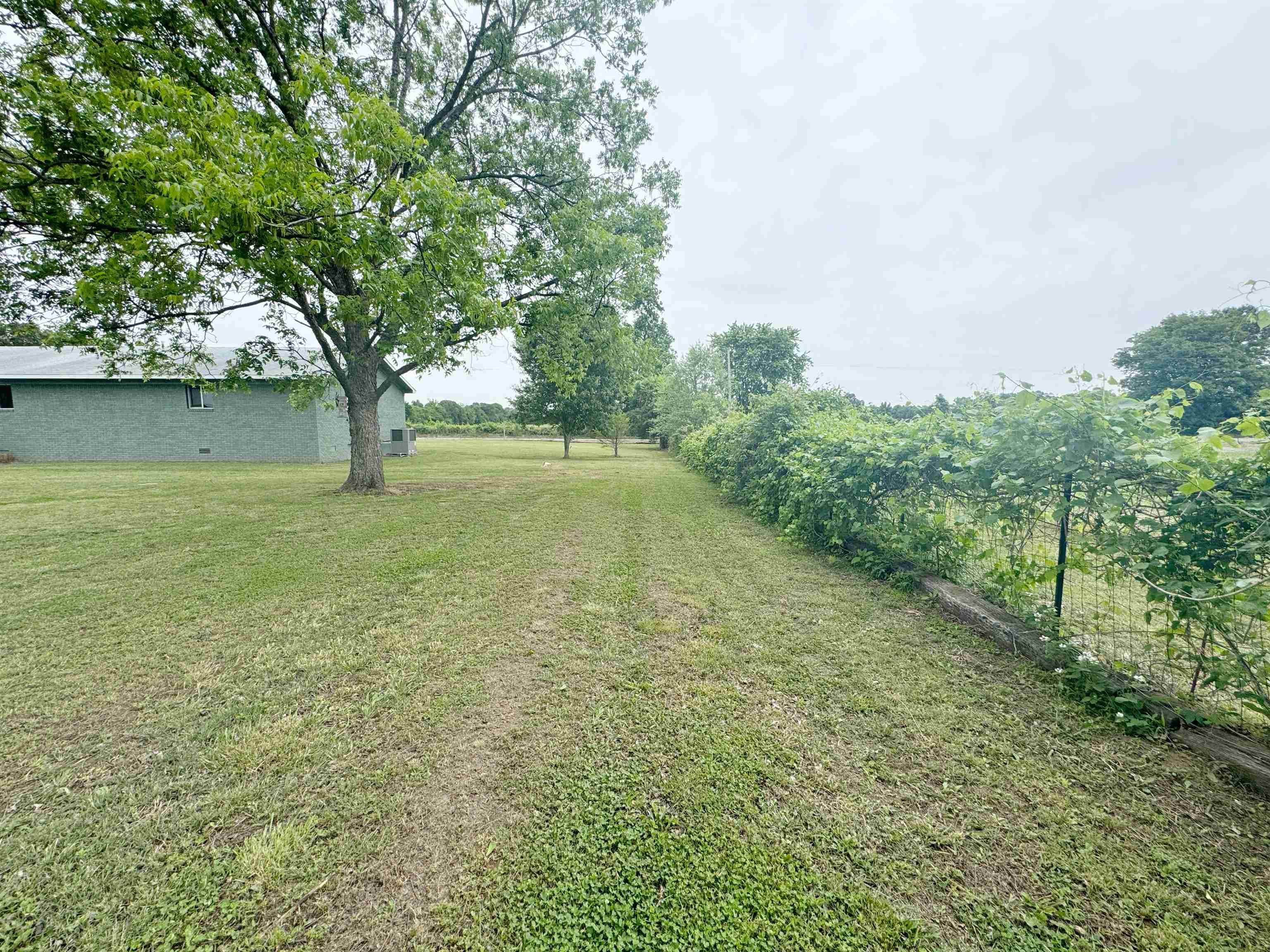 951 Sloan Road Burlison, TN 38015 - Photo 26 of 29 a view of outdoor space and yard