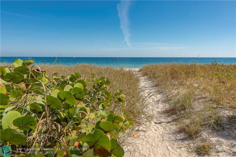 19 Seneca Road Sea Ranch Lakes, FL 33308 - Photo 47 of 48