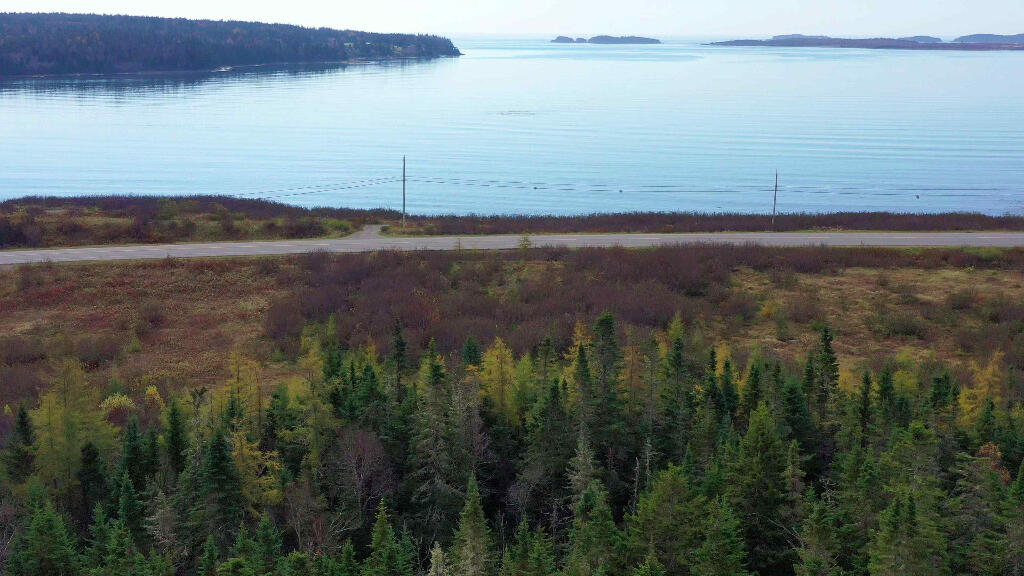 2120 Cutler Road, Unit LOT 3 Cutler, ME 04626 - Photo 1 of 24 00