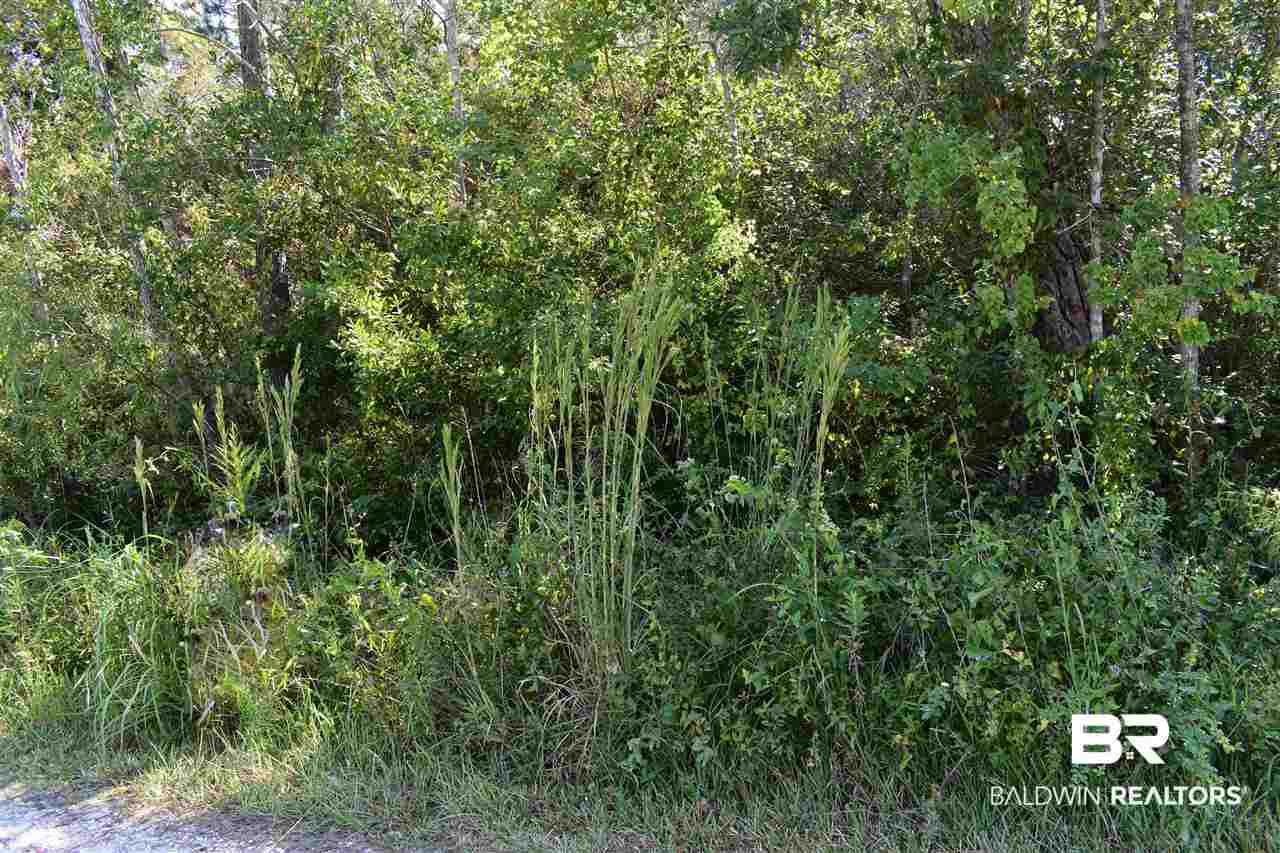 Lot 11 Bay Pines Road Elberta, AL 36530 - Photo 3 of 4