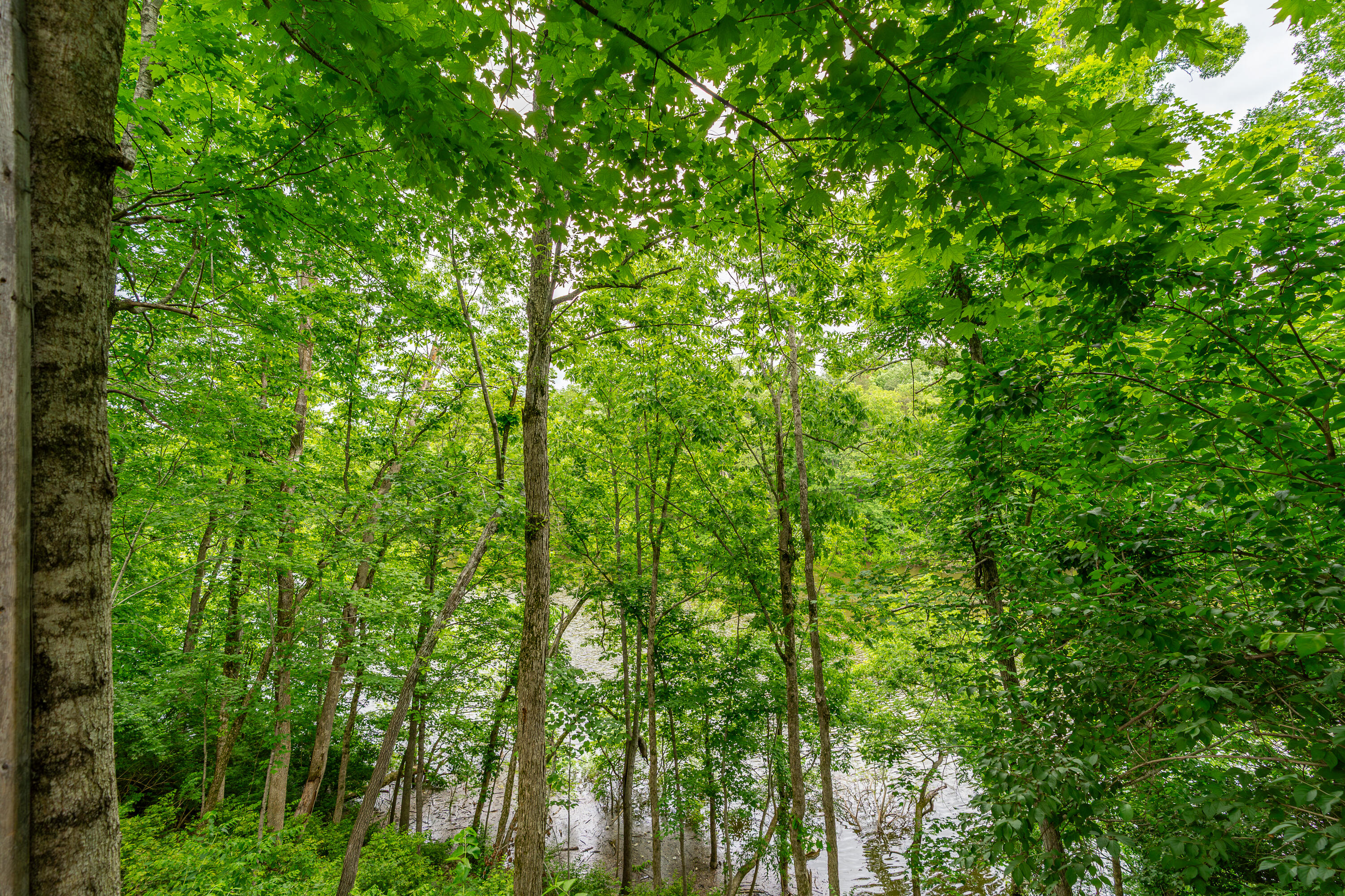 1300 Taylor Road Danville, KY 40422 - Photo 27 of 33 1 (27 of 33)