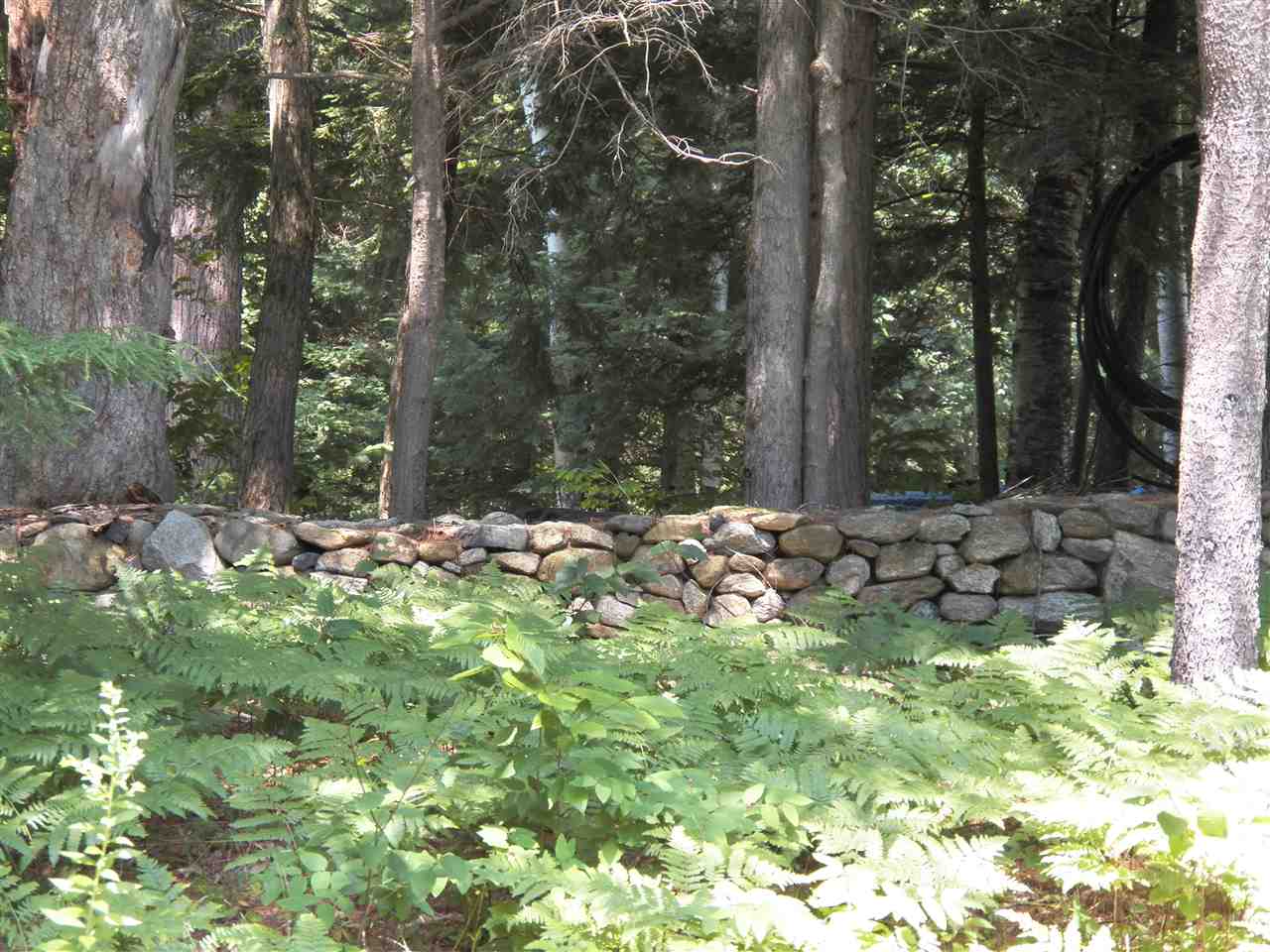 372 Potato Road Enfield, NH 03748 - Photo 32 of 38 Gallery Image 32
