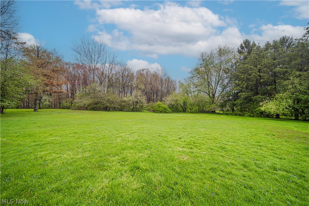 15389 Hemlock Point Road Chagrin Falls, OH 44022 - Photo 21 of 23