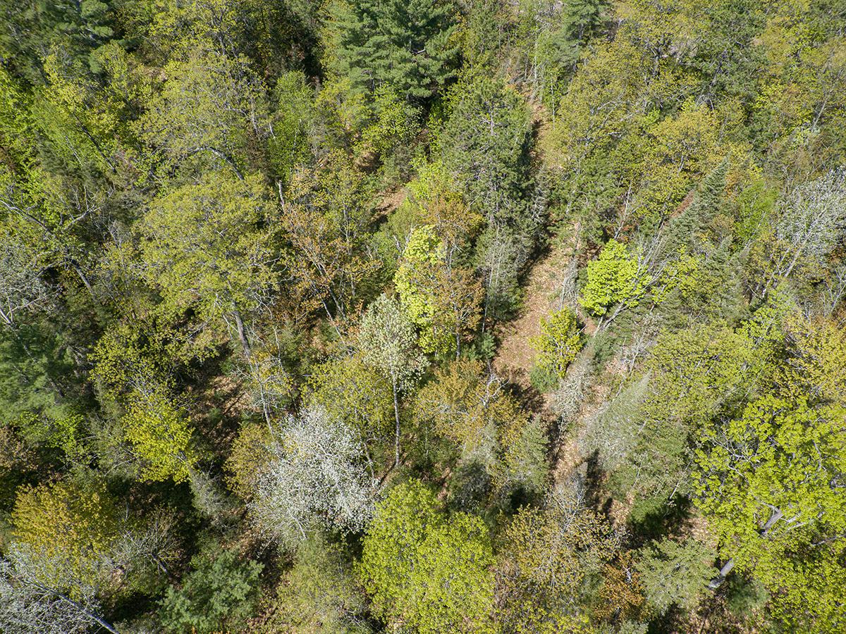 Off Sunset Road Eagle River, WI 54521 - Photo 17 of 33 Gallery Image 17