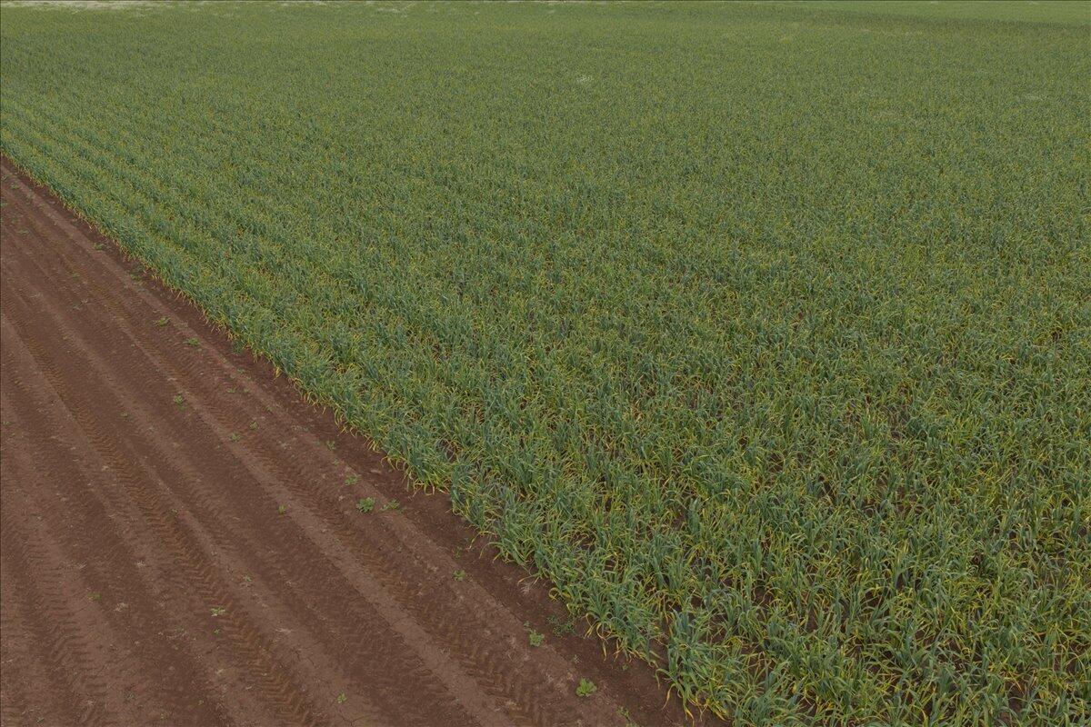 0 South Fawver Road Canby, OR 97013 - Photo 16 of 25 14-MIT-14
