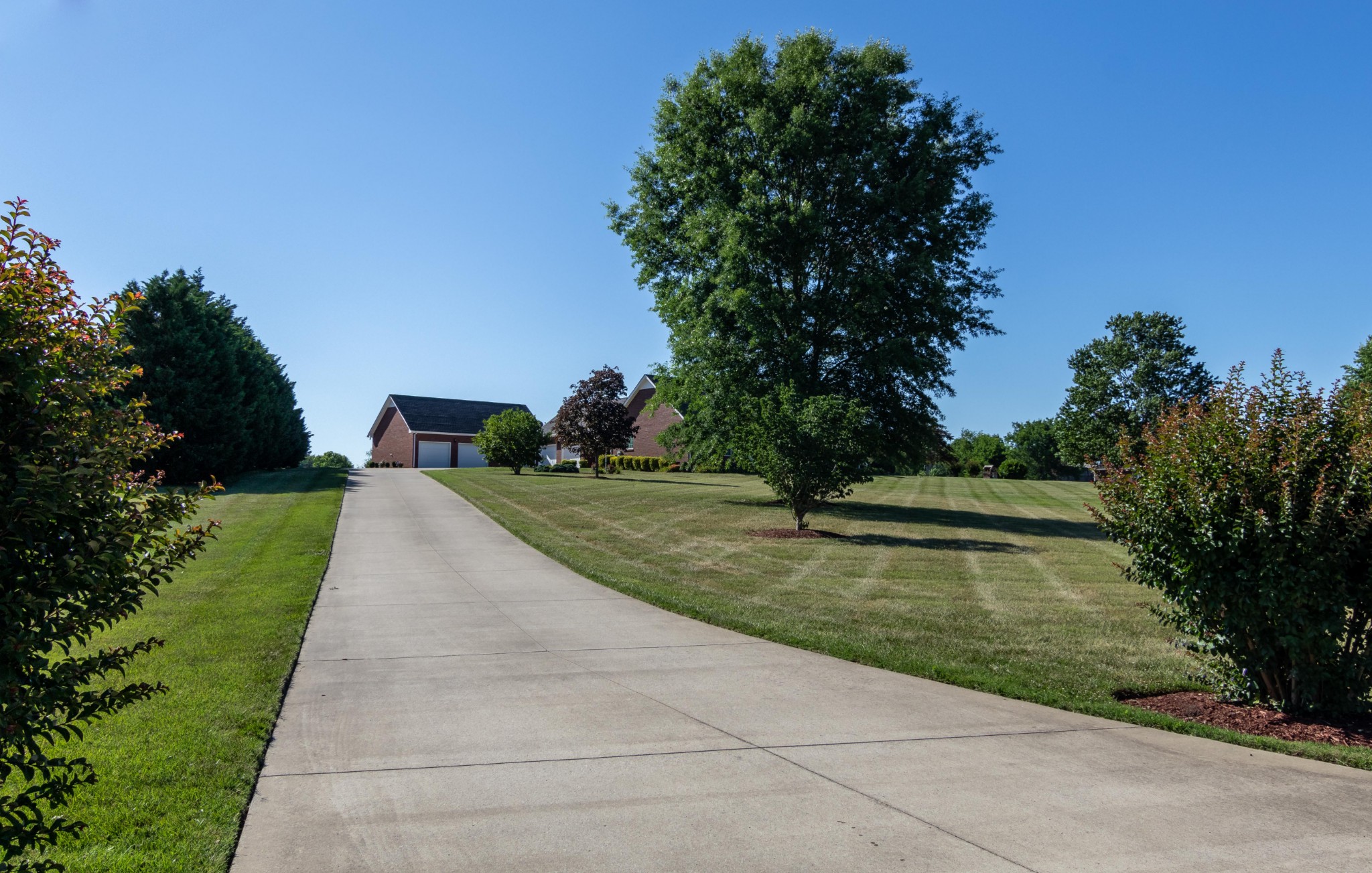 1009 Hummingbird Court Springfield, TN 37172 - Photo 3 of 18 a view of backyard with green space