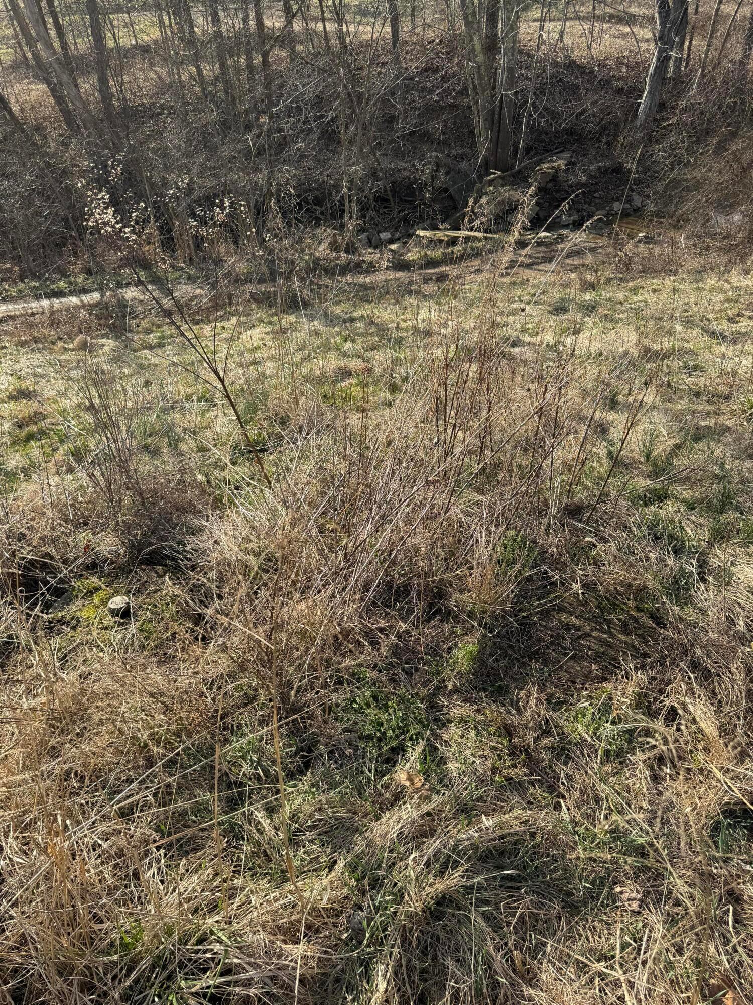 5730 Old Grade Road Chesterhill, OH 43728 - Photo 49 of 50 Septic Location