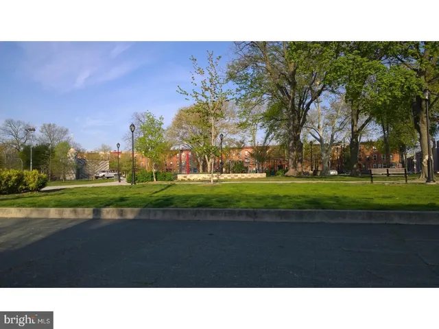 a open area with lots of trees