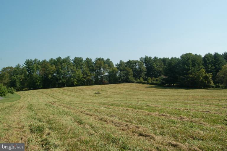 Exterior (General)