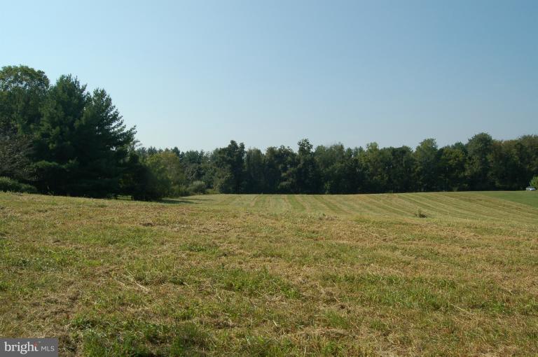 16331 Hamilton Station Road Waterford, VA 20197 - Photo 10 of 16 View