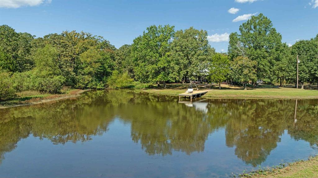 2205 County Road Blossom, TX 75416 - Photo 23 of 27 Water view
