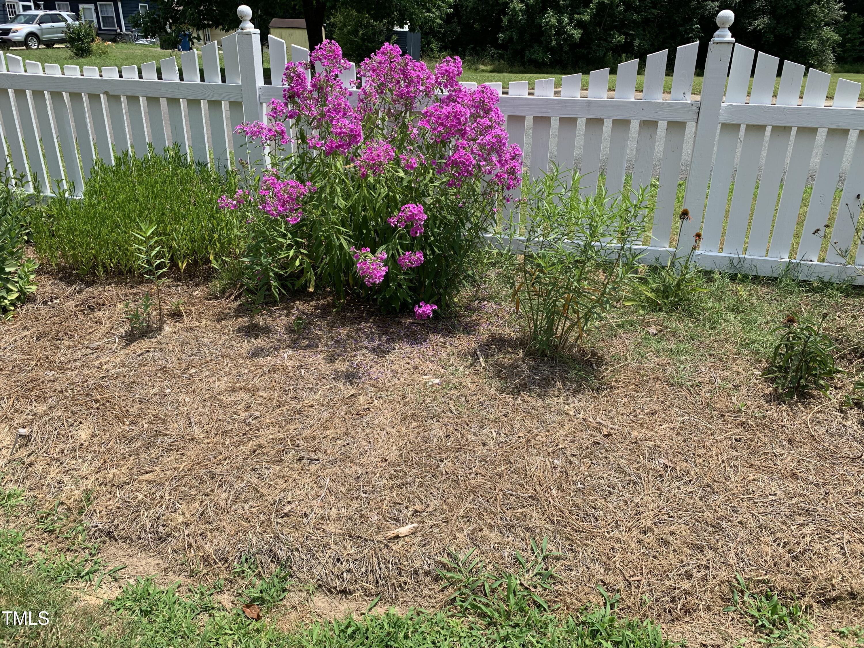 115 Omega Road Durham, NC 27712 - Photo 33 of 46 Omega- flowers 9
