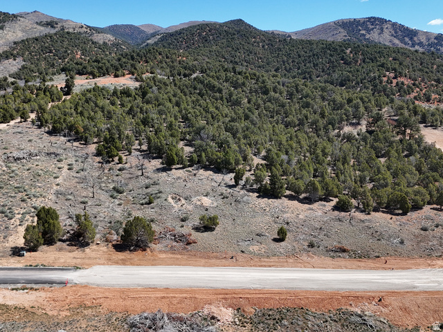 This is lot 20 with it's back against BLM Land.
