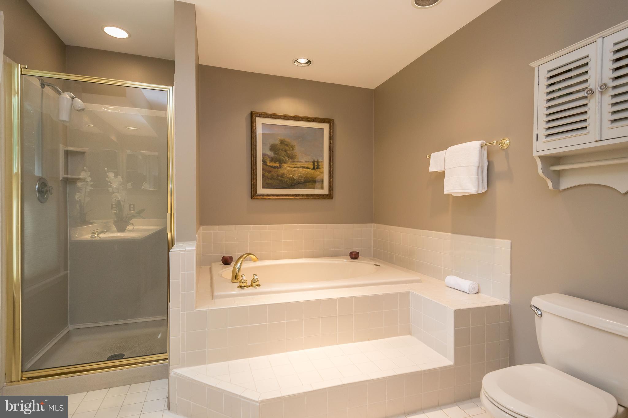 414 Riding Ridge Road Annapolis, MD 21403 - Photo 20 of 30 Bath (Master)
