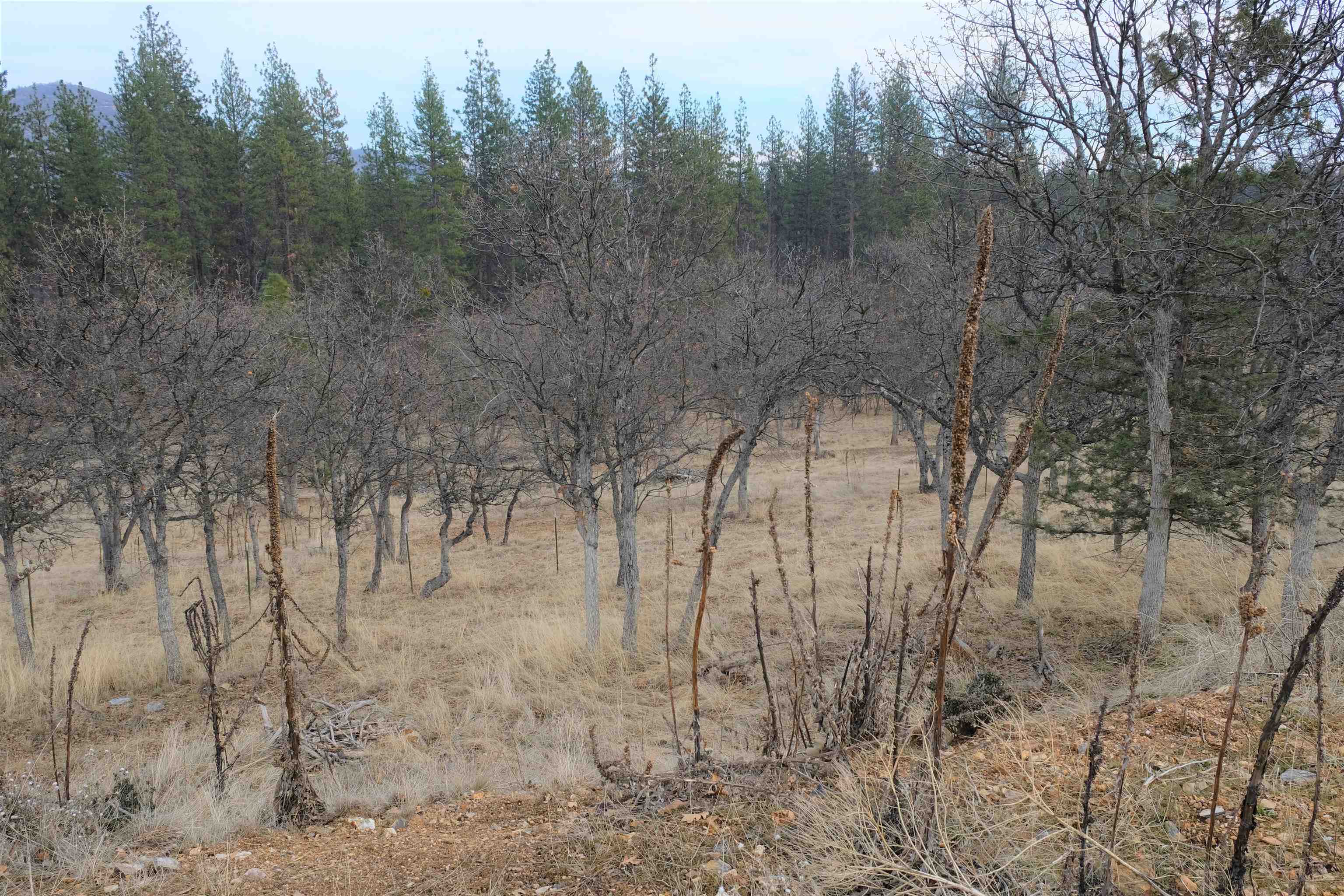 4902 Travis Heights Road Yreka, CA 96097 - Photo 11 of 32 Gallery Image 11