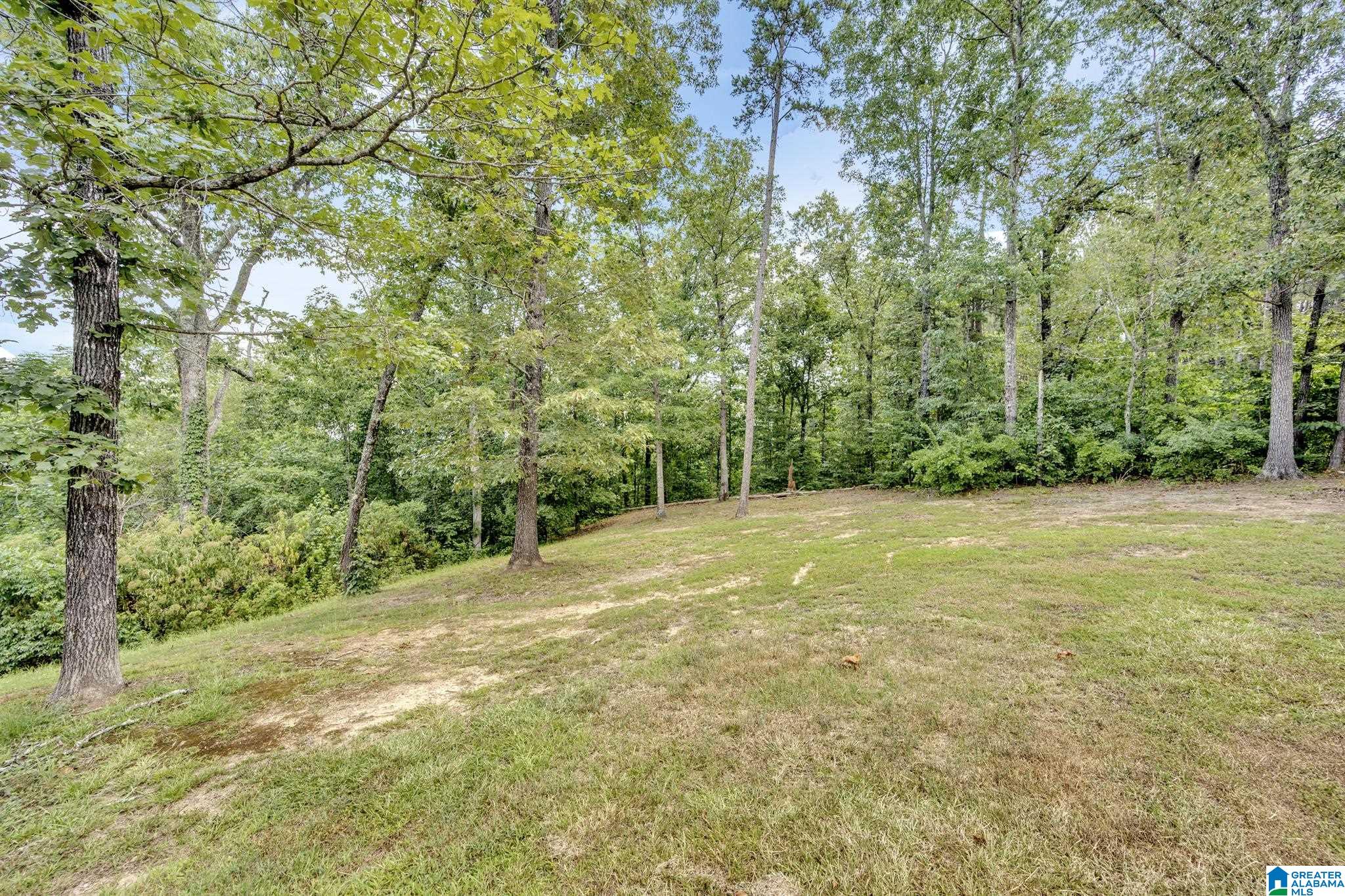 36 Dexter Road Hayden, AL 35079 - Photo 31 of 32