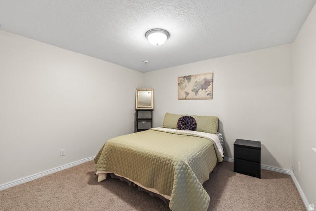 6208 West Bull River Road Highland, UT 84003 - Photo 54 of 90 Neutral tone walls with white baseboards and carpet flooring