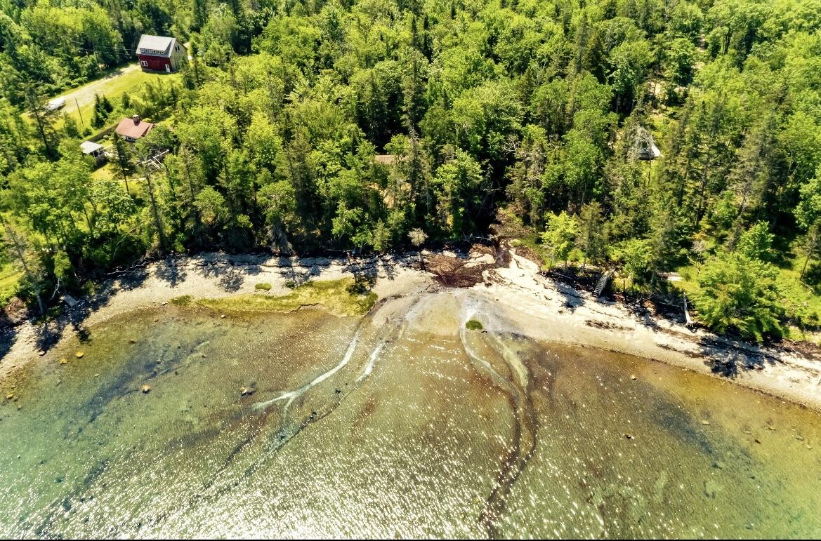 325 Harriman Point Road Brooklin, ME 04616 - Photo 15 of 36 7917F43F-76C1-4749-AC39-630BC4A63ADE