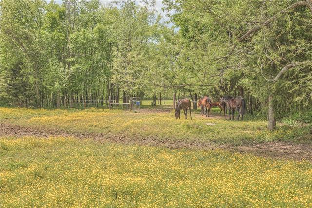 4736 Midland Road Christiana, TN 37037 - Photo 17 of 19 Gallery Image 17