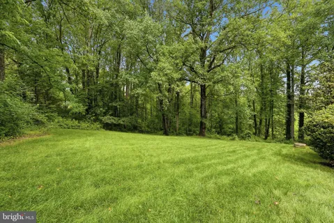 a view of a house with backyard and trees