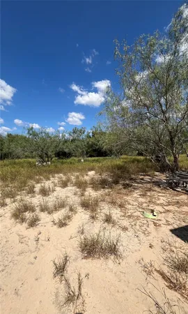a view of a lake with a yard