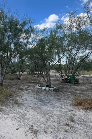 a view of a tree in the middle of a yard