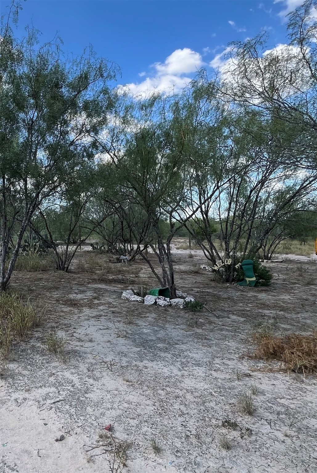 511 North Fm 649 Roma, TX 78584 - Photo 3 of 6 a view of a tree in the middle of a yard