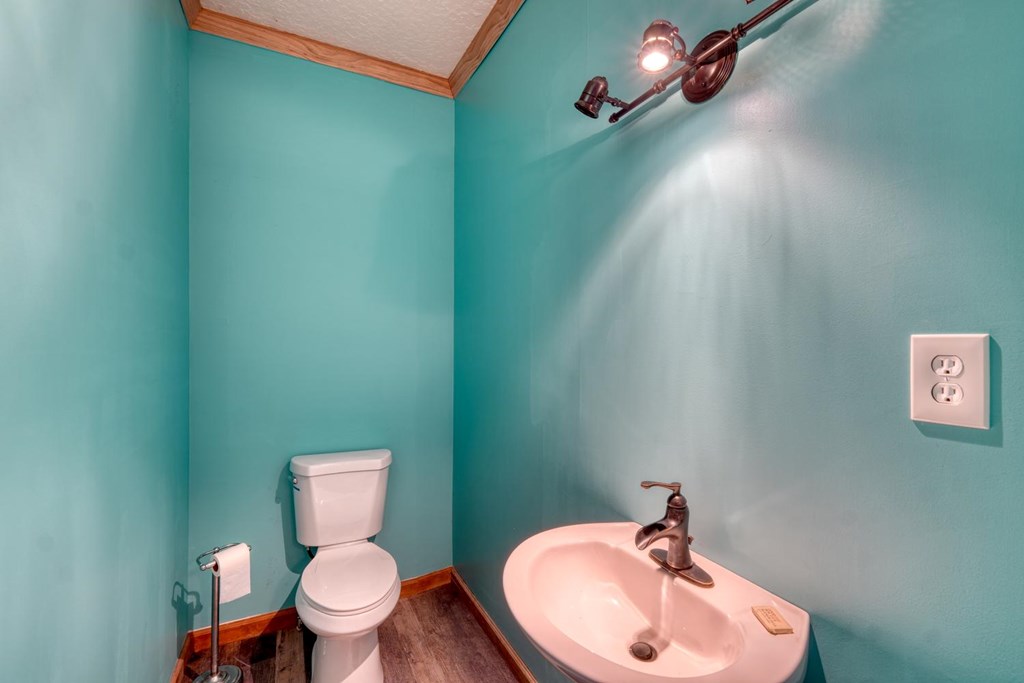 1066 Ridge Road Hiawassee, GA 30546 - Photo 19 of 51 a bathroom with a toilet and a sink