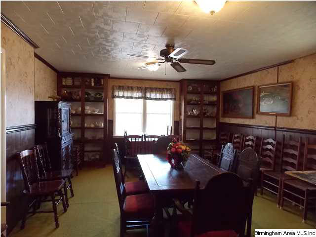 225 Plain View Drive Oneonta, AL 35121 - Photo 5 of 29 Gallery Image 5