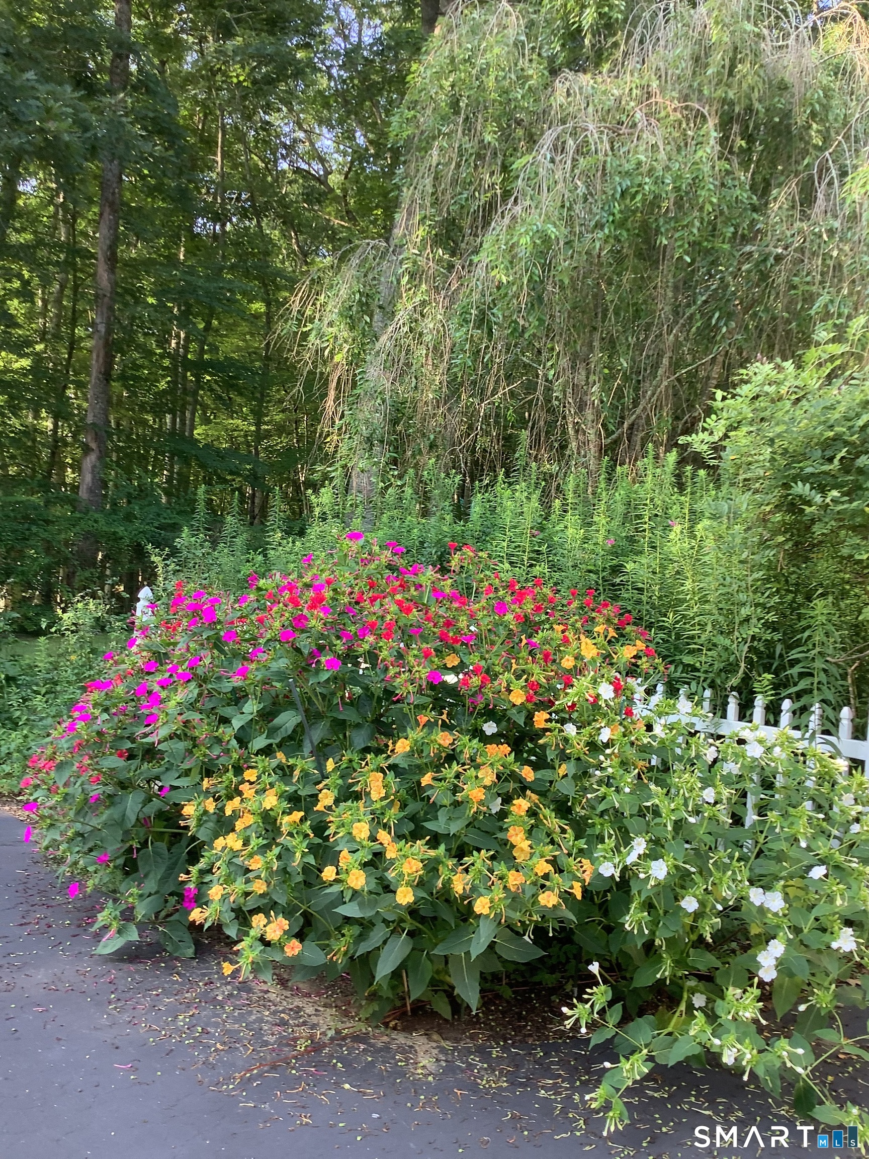 74 Taft Pond Road Pomfret, CT 06259 - Photo 39 of 40