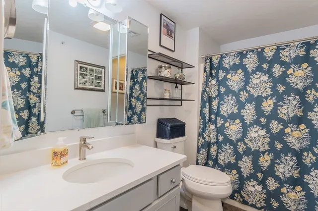 a bathroom with a sink toilet and mirror
